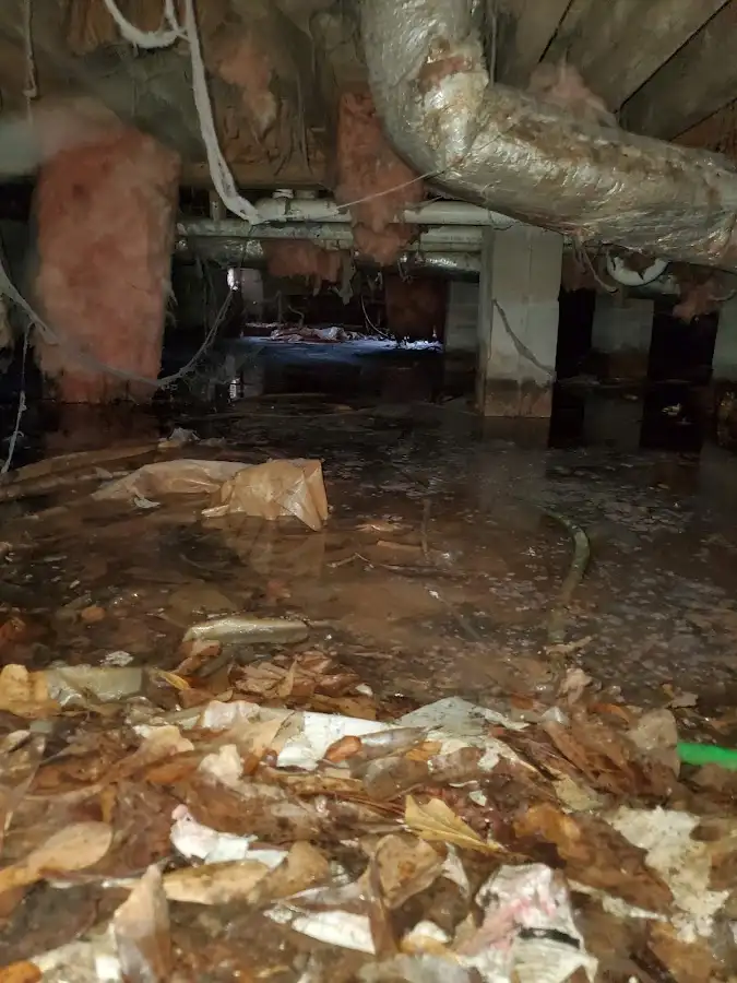 Crawl space flood assessment for Commercial Water Damage Restoration in Nogales